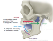 Temporomandibulaire dysfunctie